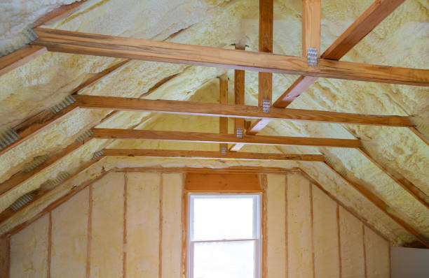 Best Types of Insulation in North Fair Oaks, CA